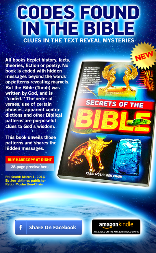the secret scripture book review